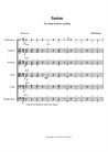 Fusion for string orchestra and Riq (Egyptian riq)