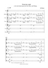 From the south (a two movement piece) for solo flute, strings and marimba